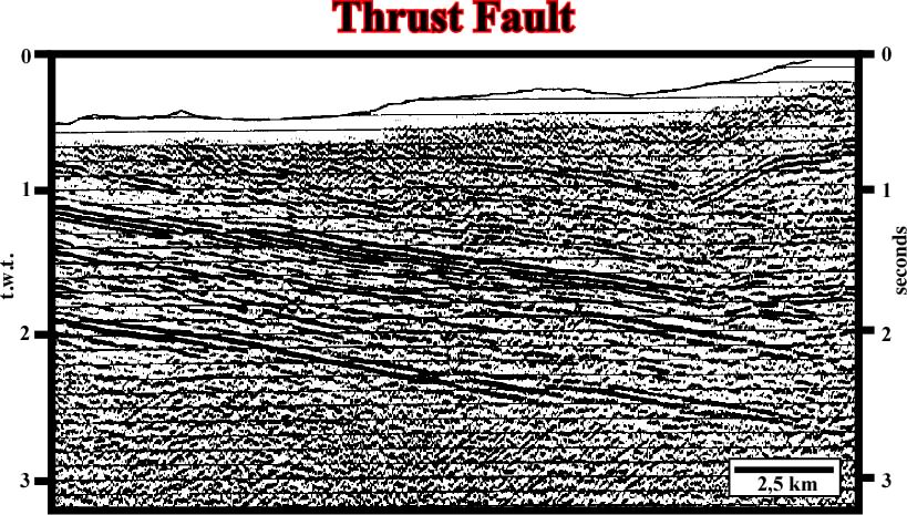 thrust fault seismic